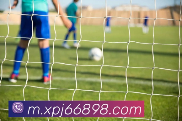 新葡京娱乐平台生态图