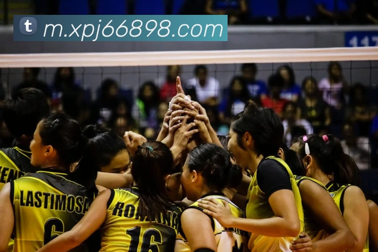 新葡京娱乐全站App